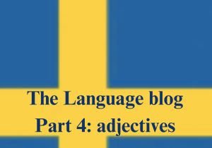 The Language blog Part 2 verbs 2 e1762461776273